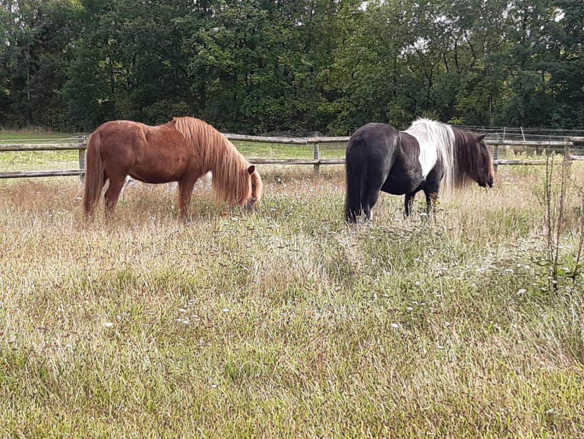 Ferienvermietung Reinstorf Reinstorf  Bagian luar foto